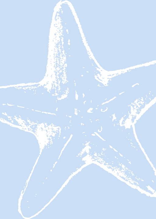 Minimalist Starfish Illustration on Soft Blue Background