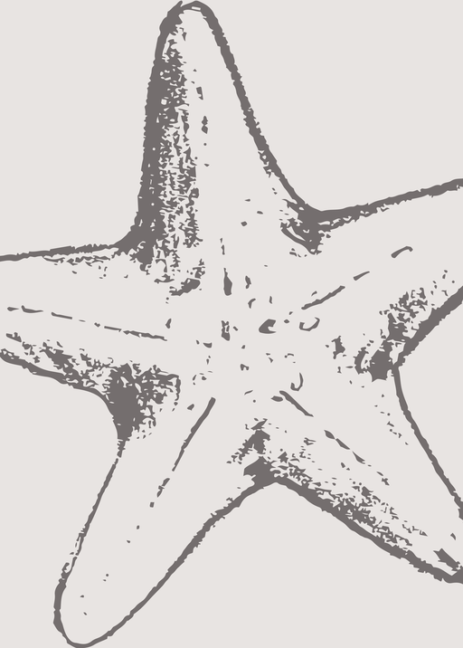 Minimalist Starfish Illustration