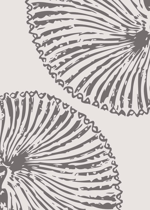 Abstract Fan-like Shapes in Neutral Tones