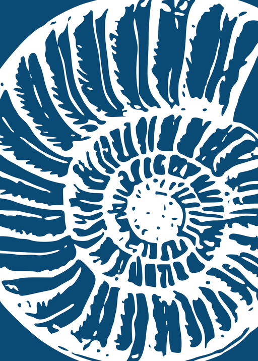 Ammonite Fossil Spiral