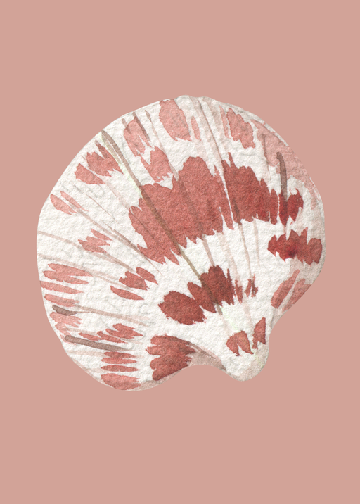 Watercolor Seashell Art