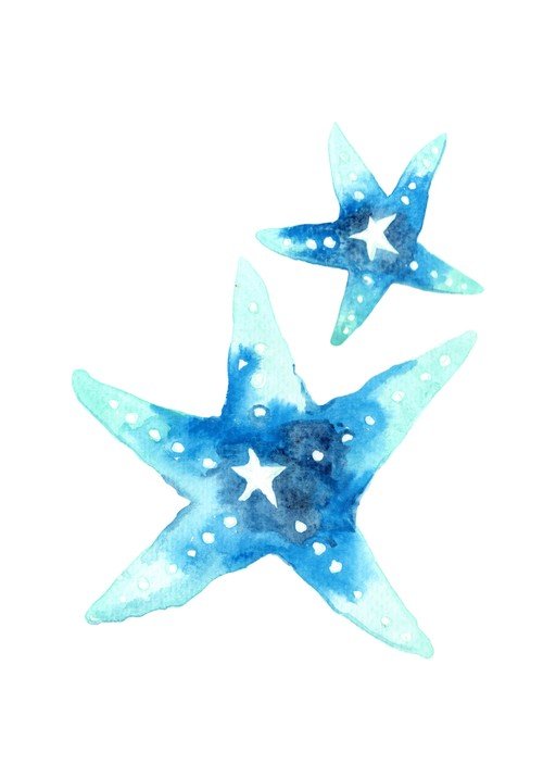 Watercolor Starfish Duo in Blue and Teal