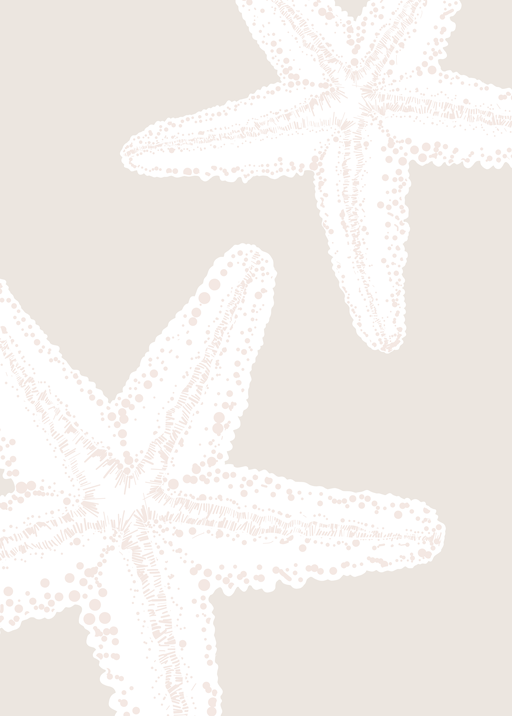 Two White Starfish on a Neutral Background