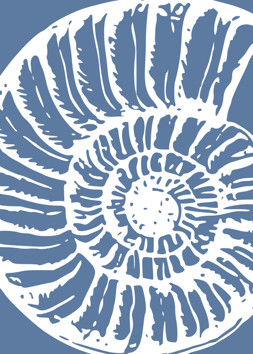 Stylized Ammonite Fossil Illustration