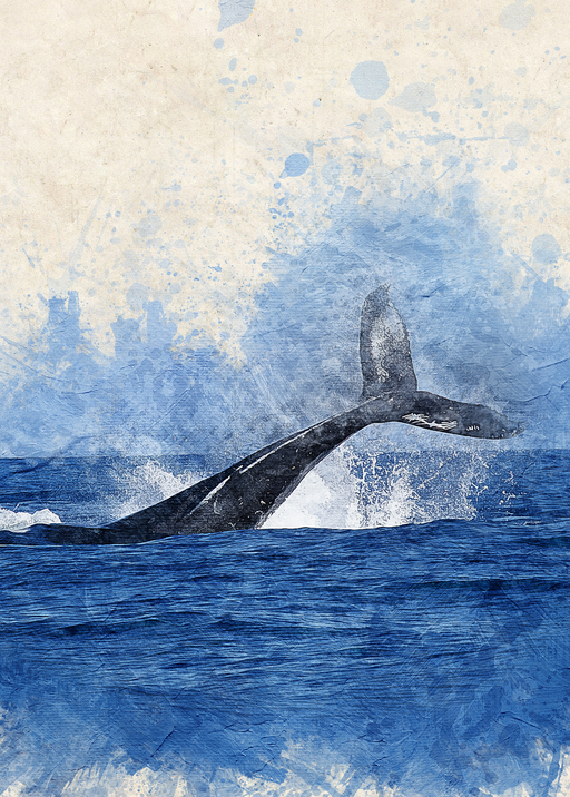 Humpback Whale Tail Splash in Blue Ocean