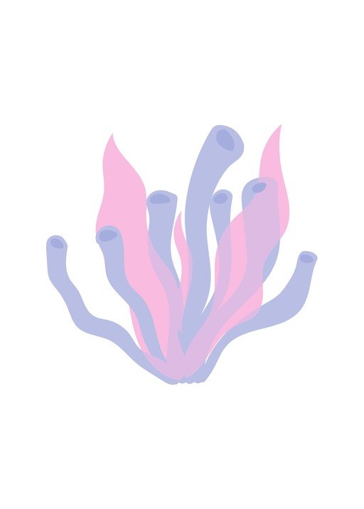 Abstract Coral Illustration in Pastel Hues