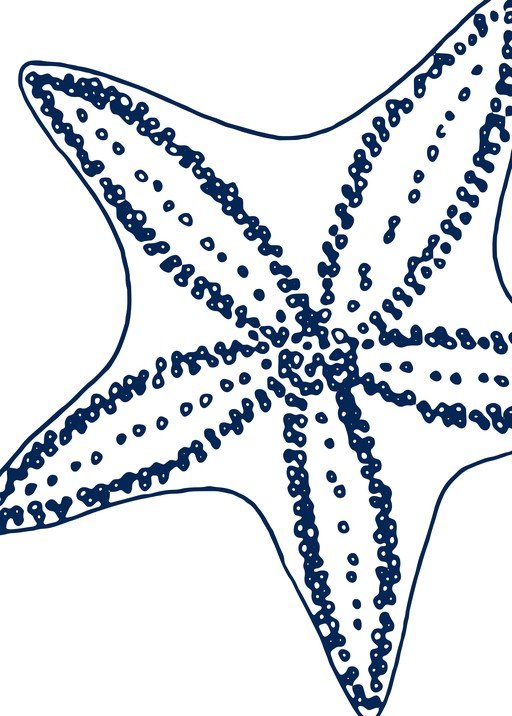 Navy Blue Starfish Illustration