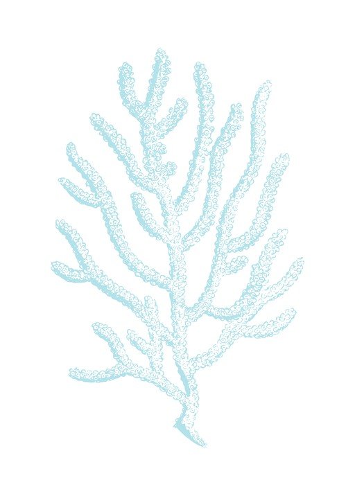 Pale Blue Coral Branch Illustration