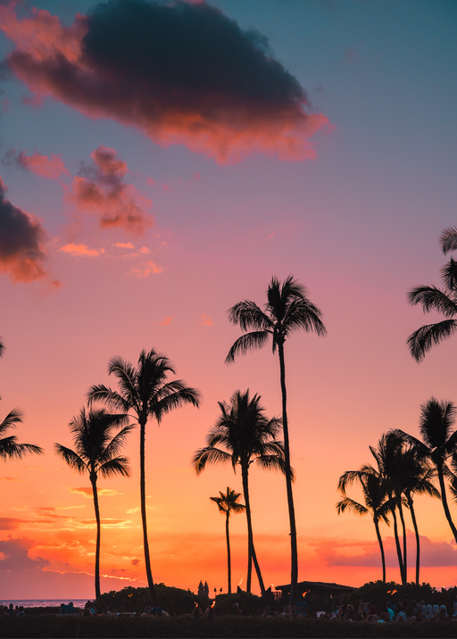 Tropical Sunset with Palm Trees and Silhouetted Crowd