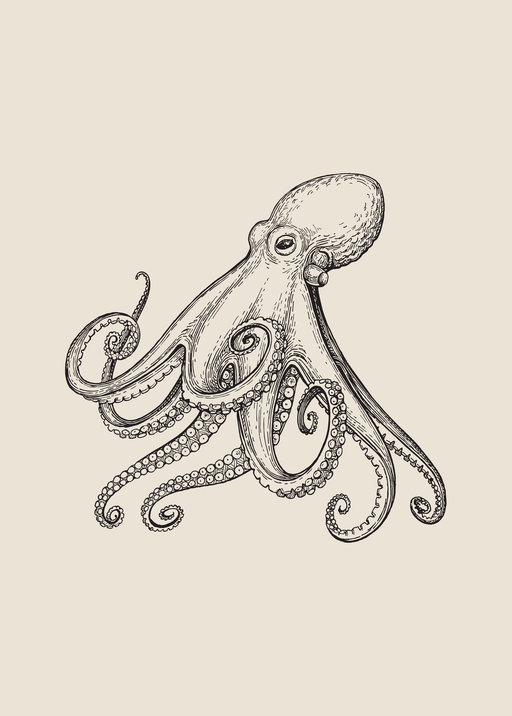 Vintage Octopus Illustration