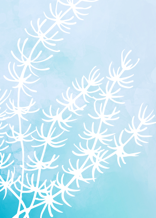 White Fern Fronds on Soft Blue Watercolor Background