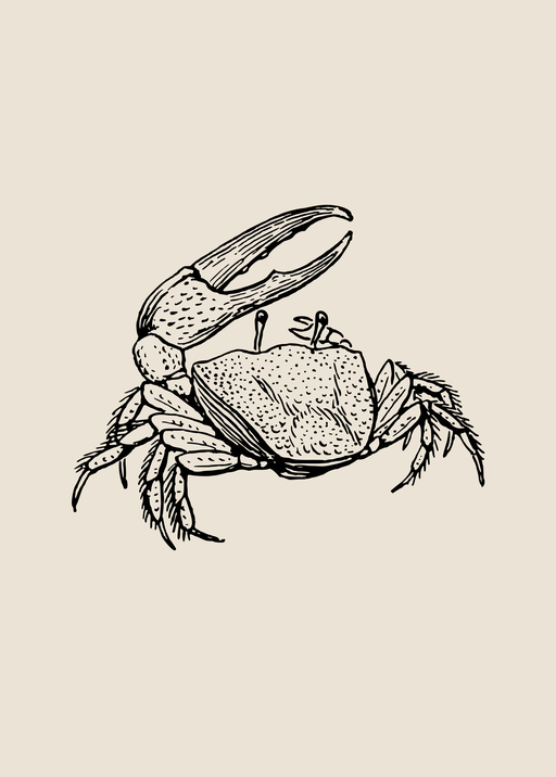 Vintage Crab Illustration
