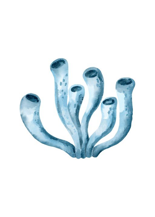 Watercolor Blue Coral Illustration