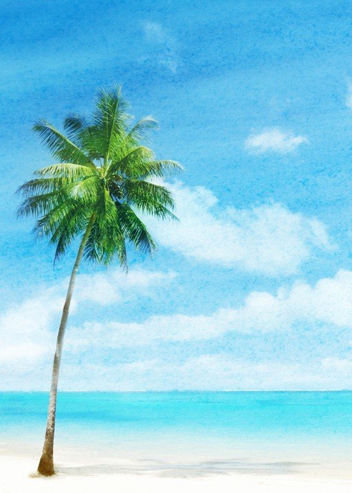 Tropical Palm Tree on a Sunny Beach