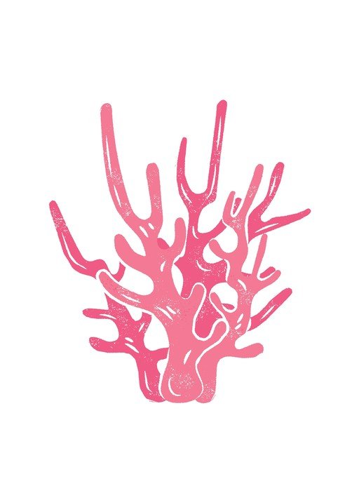 Pink Coral Branch Illustration