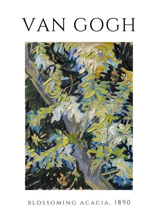 Van Gogh's Blossoming Acacia, 1890