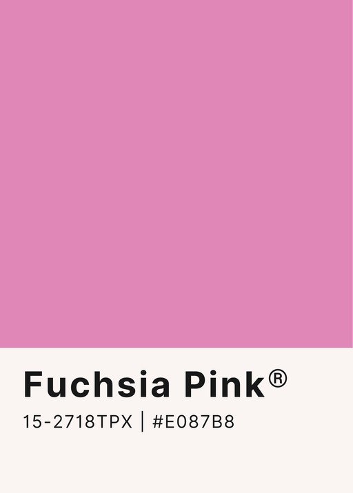 Fuchsia Pink Color Swatch