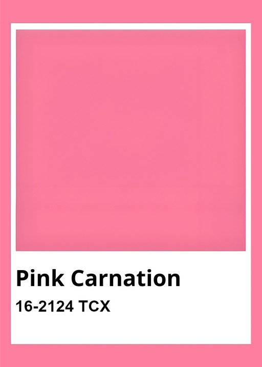 Pink Carnation Color Swatch