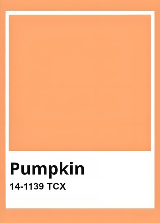 Pumpkin Color Swatch