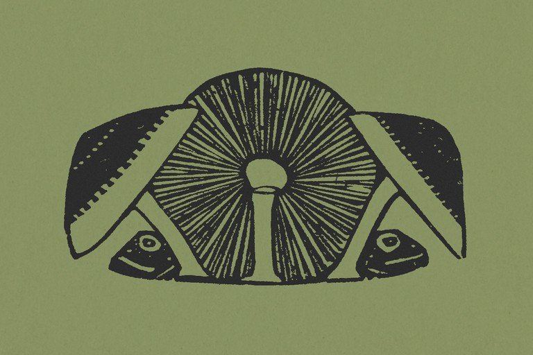 Mushroom and Frog Illustration