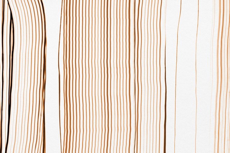 Abstract Vertical Lines in Warm Tones