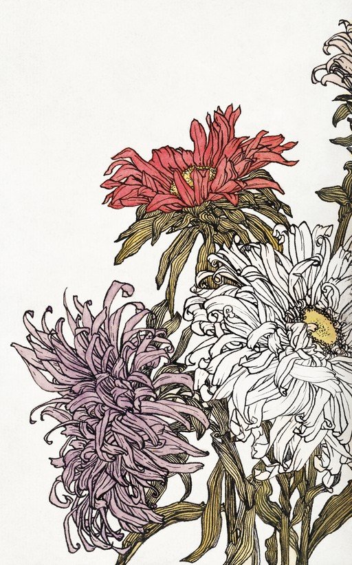 Artistic Illustration of Chrysanthemums in Bloom