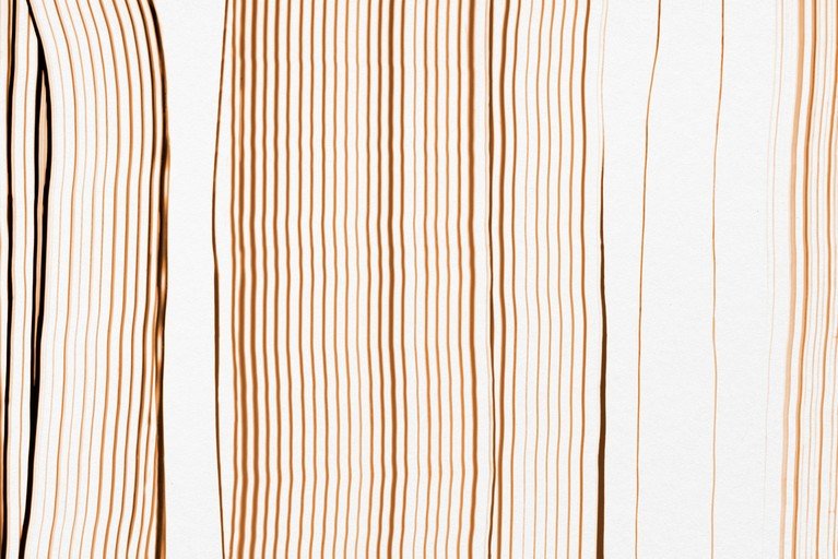 Abstract Vertical Lines in Warm Tones