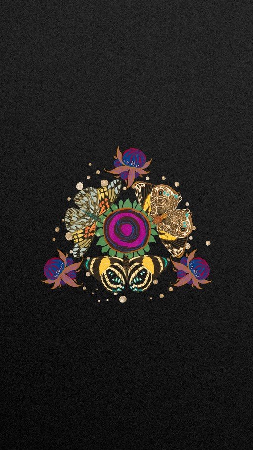 Intricate Butterfly and Floral Mandala on Black