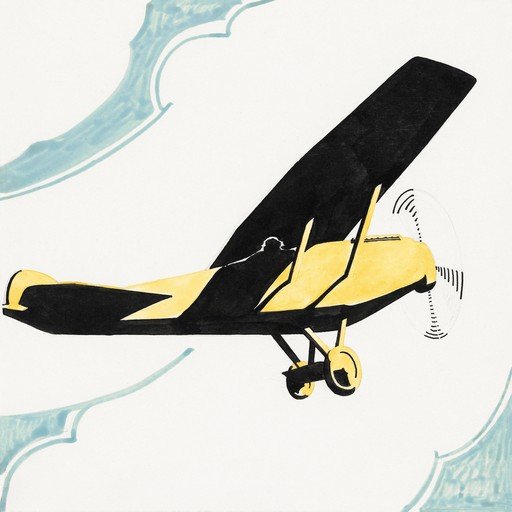 Vintage Biplane in Flight
