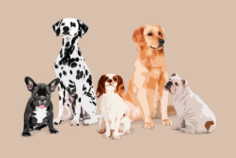 Diverse Dog Breeds Posed Together