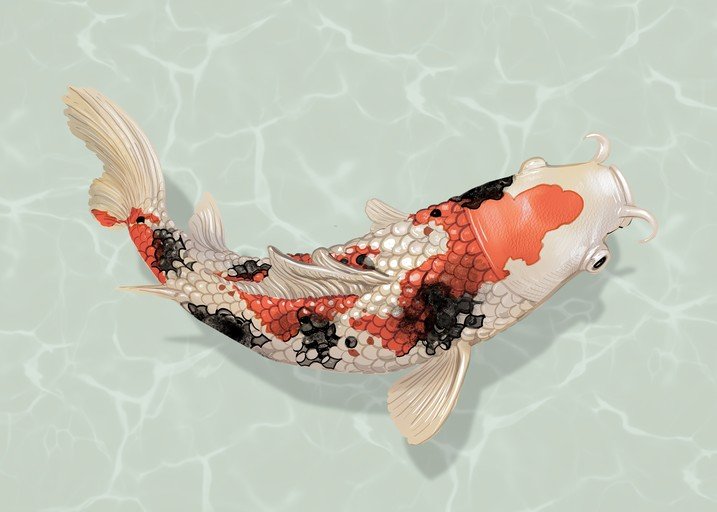Elegant Koi Fish Swimming in Rippling Water