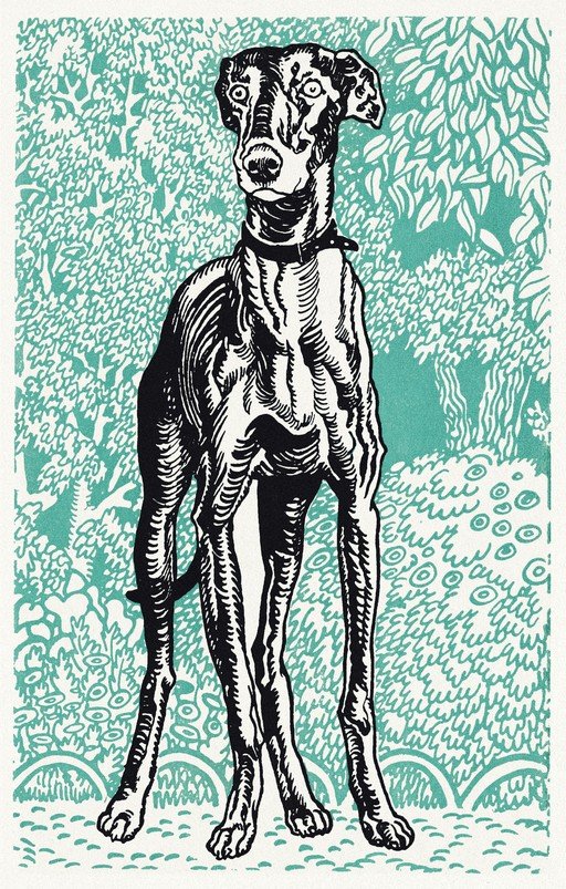 Elegant Greyhound in Stylized Garden