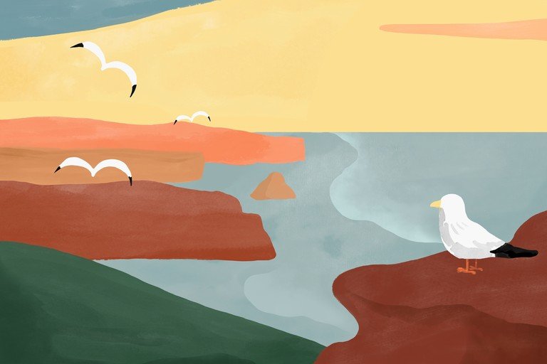 Seagulls Over Coastal Cliffs at Sunset