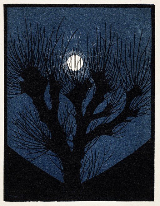 Moonlit Night with Silhouetted Trees