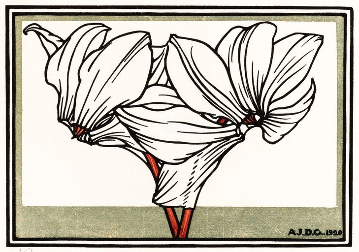 Art Nouveau Cyclamen Flower Illustration