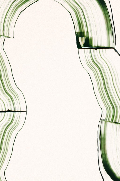 Abstract Green and White Organic Forms