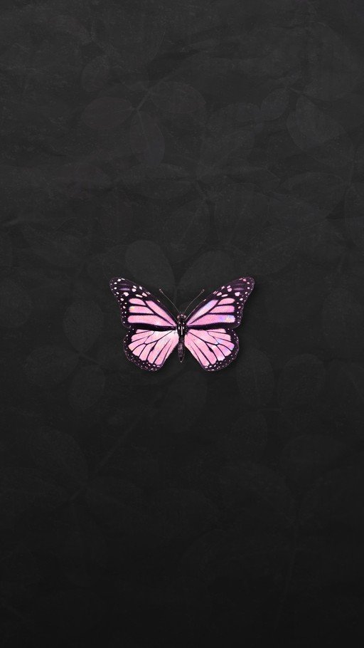 Pink Butterfly on Dark Textured Background