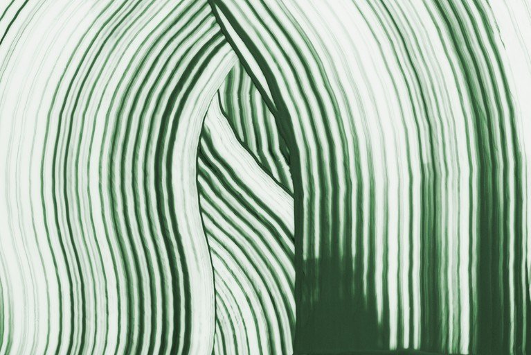 Abstract Green and White Striped Pattern