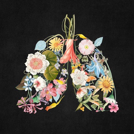Floral Lungs Illustration on Black Background