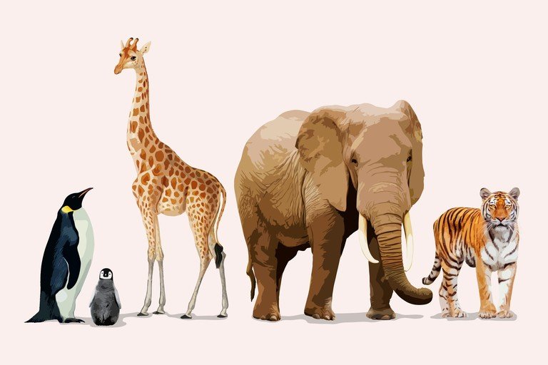 Diverse Animals: Elephant, Giraffe, Tiger, and Penguins