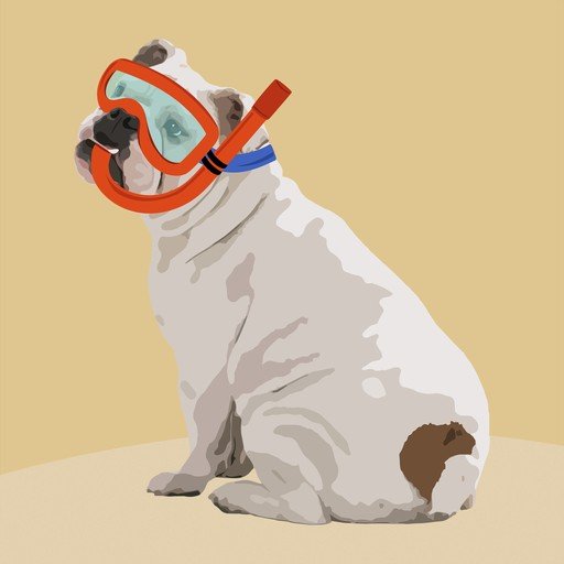 Bulldog in Snorkel Gear