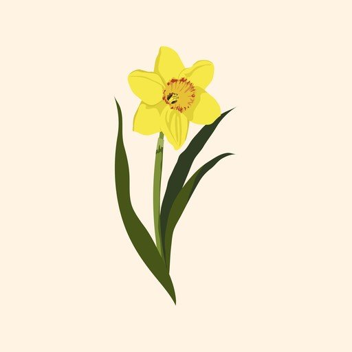 Yellow Daffodil Flower Illustration
