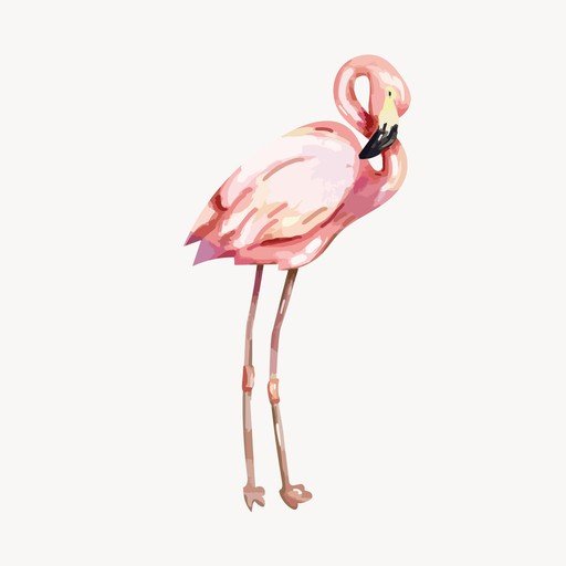 Watercolor Flamingo Illustration