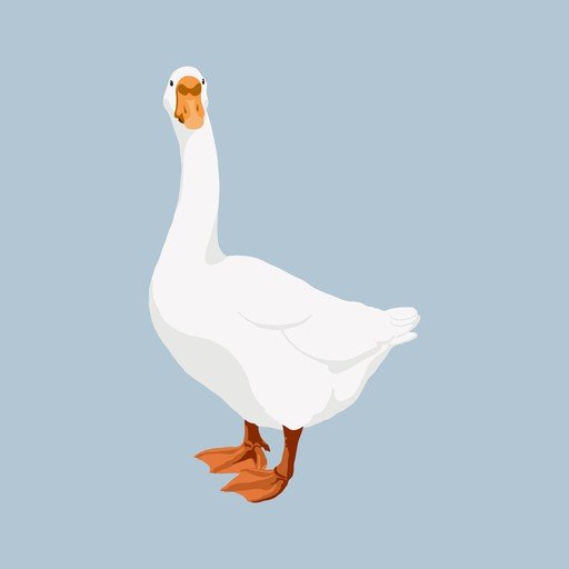 White Goose with Orange Beak and Feet