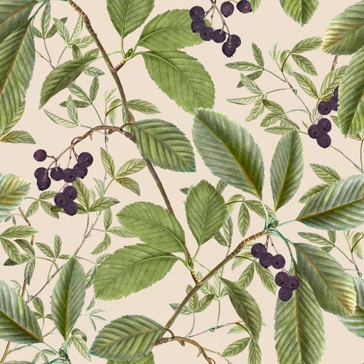 Botanical Illustration of Dark Berries and Green Leaves