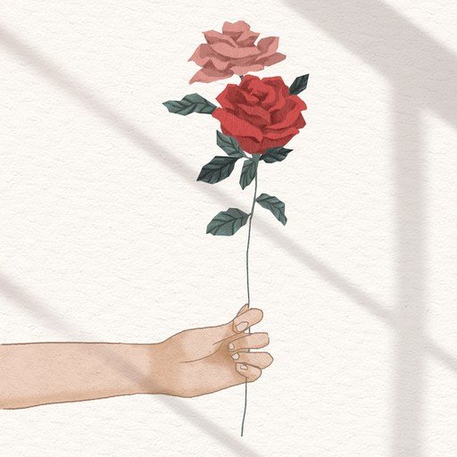 Hand Holding Two Roses with Shadow Overlay