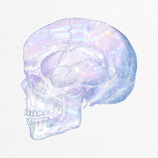 Holographic Skull Illustration