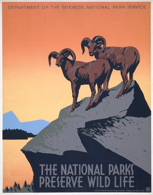 National Parks Preserve Wildlife Poster with Bighorn Sheep