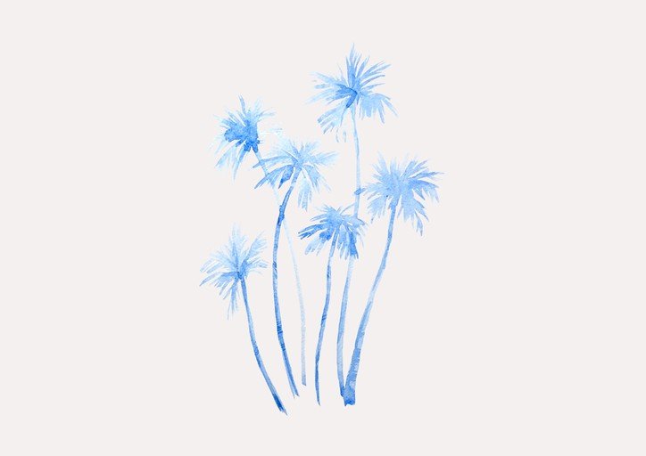 Blue Watercolor Palm Trees on White Background