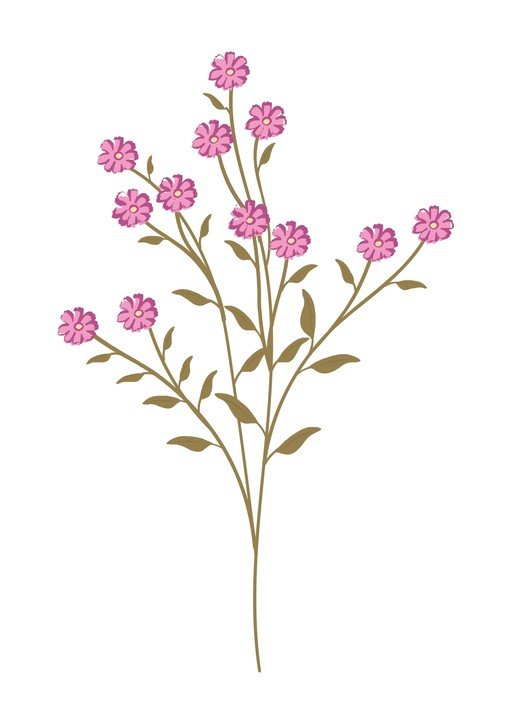 Pink Wildflowers on White Background